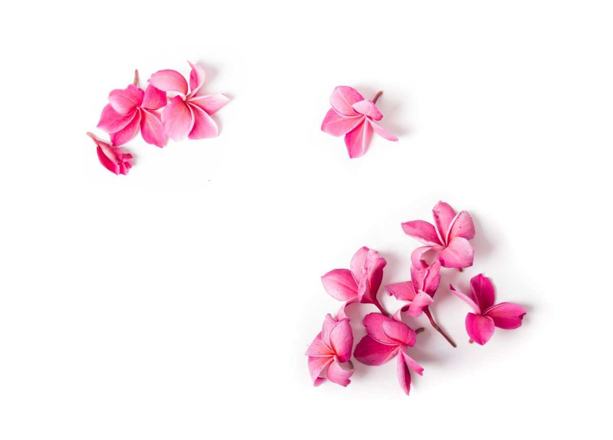 Biocosmesi bellezza naturale